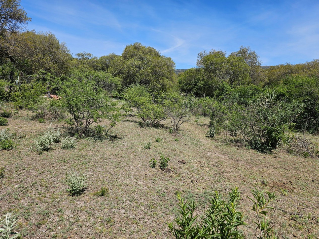 Lote Venta Villa Calmayo 1299 M² Ubicacion Exclusiva Grandes Vistas Luz Agua Escritura Facil Acceso