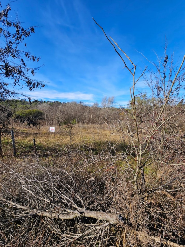 3 Lotes Juntos Contiguos Venta Santa Rosa de Calamuchita La Olla La Rinconada Luz Costa del Rio