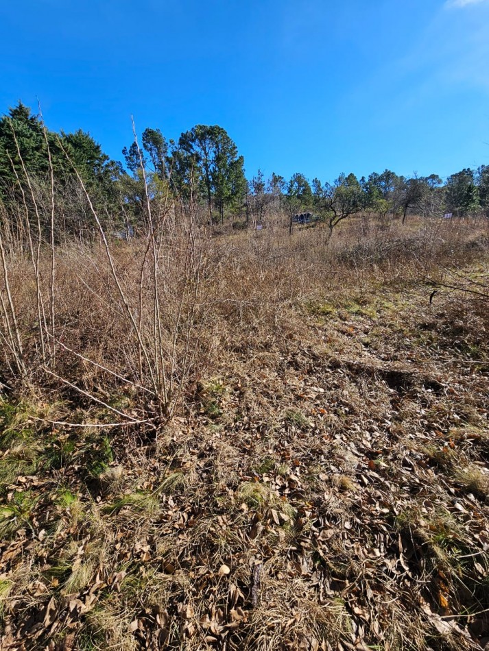 3 Lotes Juntos Contiguos Venta Santa Rosa de Calamuchita La Olla La Rinconada Luz Costa del Rio
