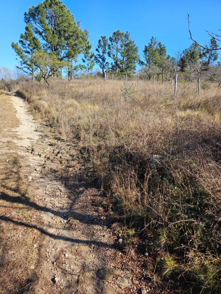 3 Lotes Juntos Contiguos Venta Santa Rosa de Calamuchita La Olla La Rinconada Luz Costa del Rio