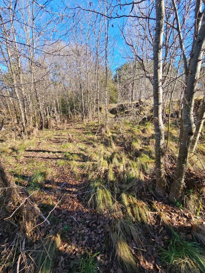 3 Lotes Juntos Contiguos Venta Santa Rosa de Calamuchita La Olla La Rinconada Luz Costa del Rio