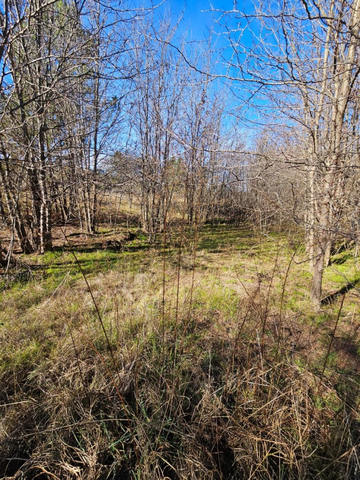 3 Lotes Juntos Contiguos Venta Santa Rosa de Calamuchita La Olla La Rinconada Luz Costa del Rio