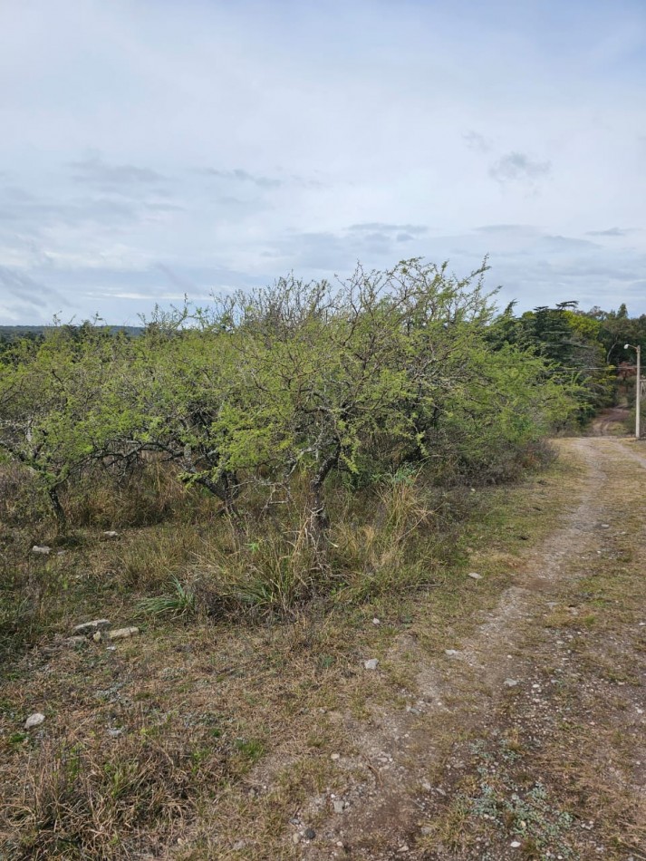 5 Lotes juntos contiguos Venta El Parador De La Montaña Luz Agua Puerta Vistas Santa Rosa De Calamuchita