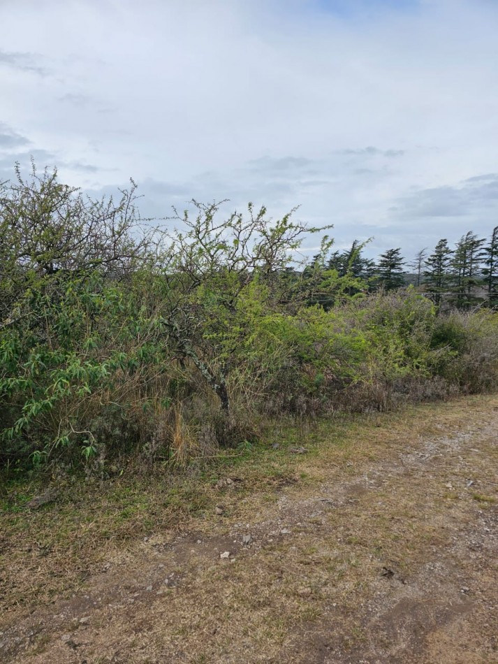 5 Lotes juntos contiguos Venta El Parador De La Montaña Luz Agua Puerta Vistas Santa Rosa De Calamuchita