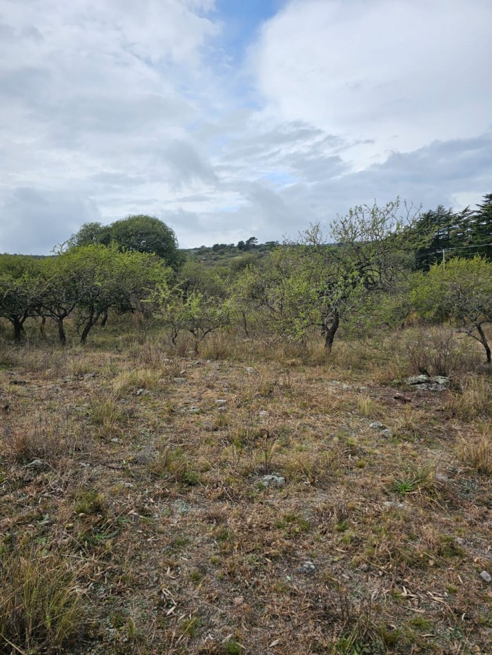 5 Lotes juntos contiguos Venta El Parador De La Montaña Luz Agua Puerta Vistas Santa Rosa De Calamuchita