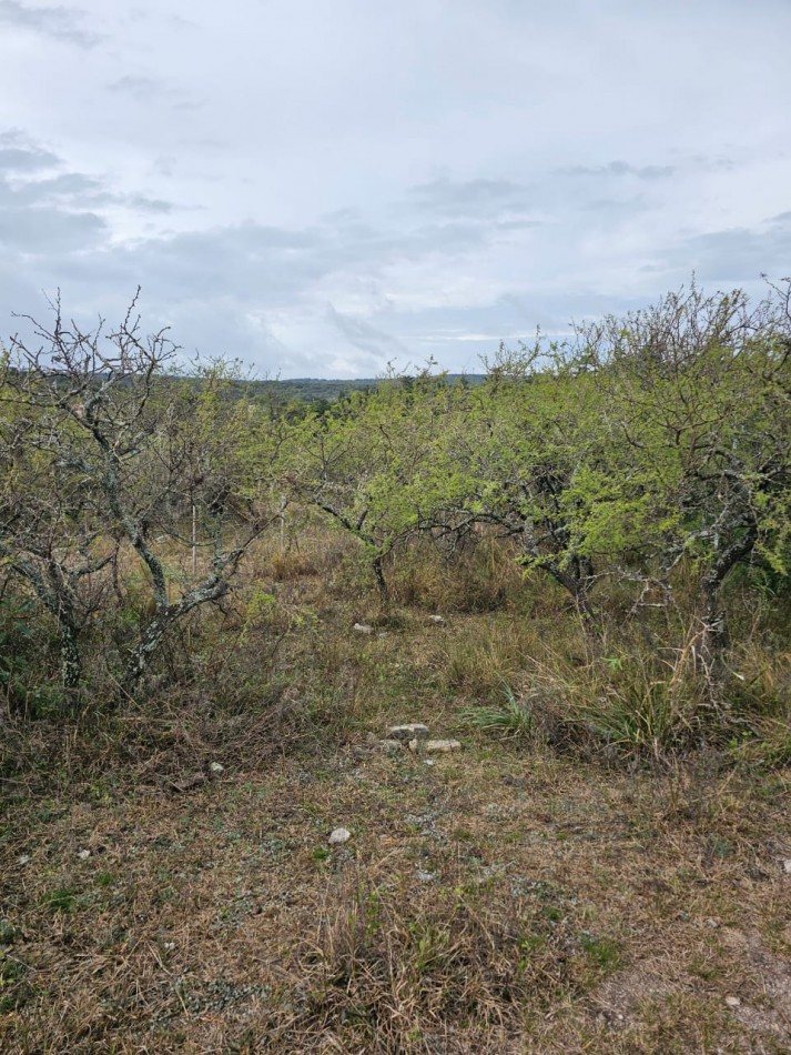 5 Lotes juntos contiguos Venta El Parador De La Montaña Luz Agua Puerta Vistas Santa Rosa De Calamuchita