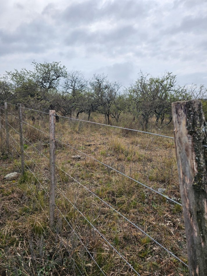 5 Lotes juntos contiguos Venta El Parador De La Montaña Luz Agua Puerta Vistas Santa Rosa De Calamuchita