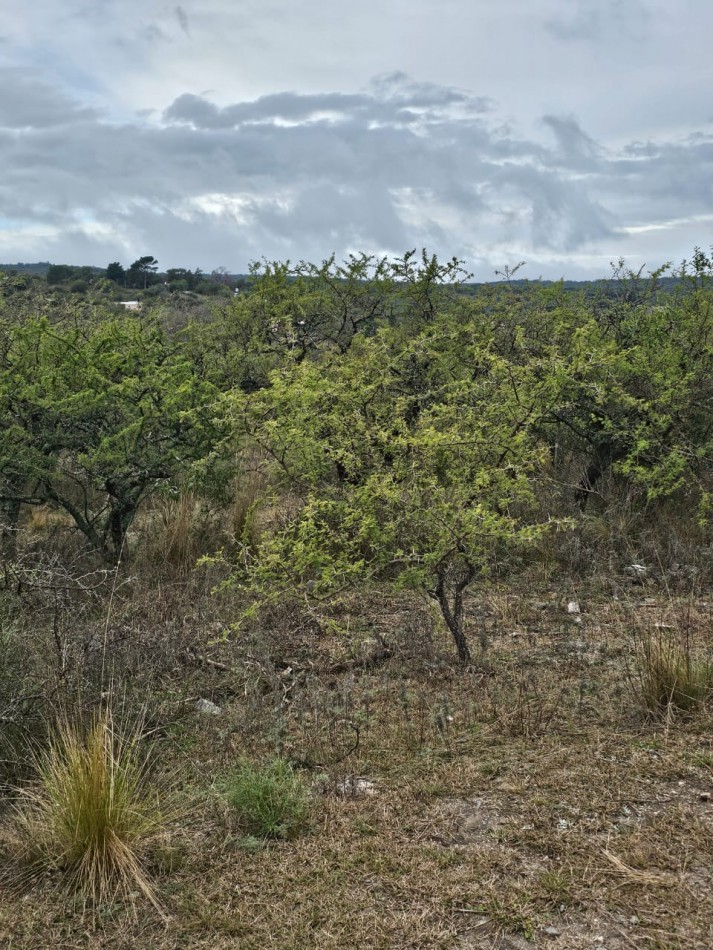 5 Lotes juntos contiguos Venta El Parador De La Montaña Luz Agua Puerta Vistas Santa Rosa De Calamuchita