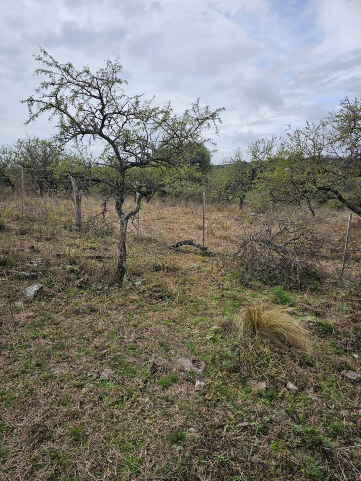 5 Lotes juntos contiguos Venta El Parador De La Montaña Luz Agua Puerta Vistas Santa Rosa De Calamuchita