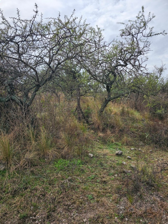 5 Lotes juntos contiguos Venta El Parador De La Montaña Luz Agua Puerta Vistas Santa Rosa De Calamuchita