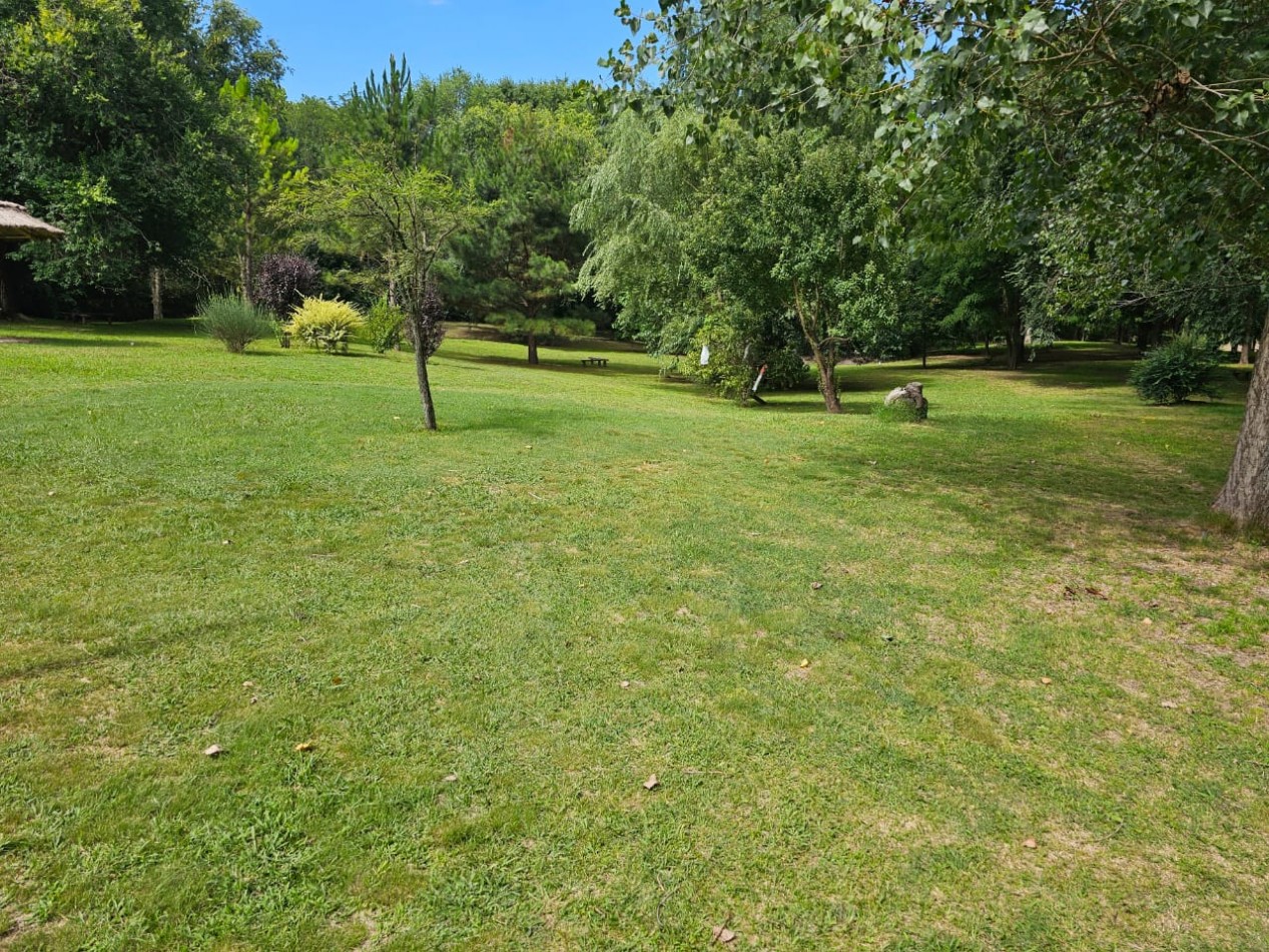 Lote Venta 1.000 m² Los Reartes A 50 metros del Rio Ubicacion Privilegiada Parques autoctonos y forestados Apto Construccion Familiar O Comercial Luz Agua Escritura
