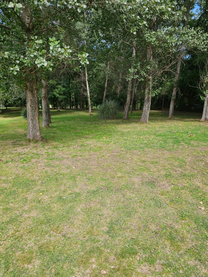 Lote Venta 1.000 m² Los Reartes A 50 metros del Rio Ubicacion Privilegiada Parques autoctonos y forestados Apto Construccion Familiar O Comercial Luz Agua Escritura