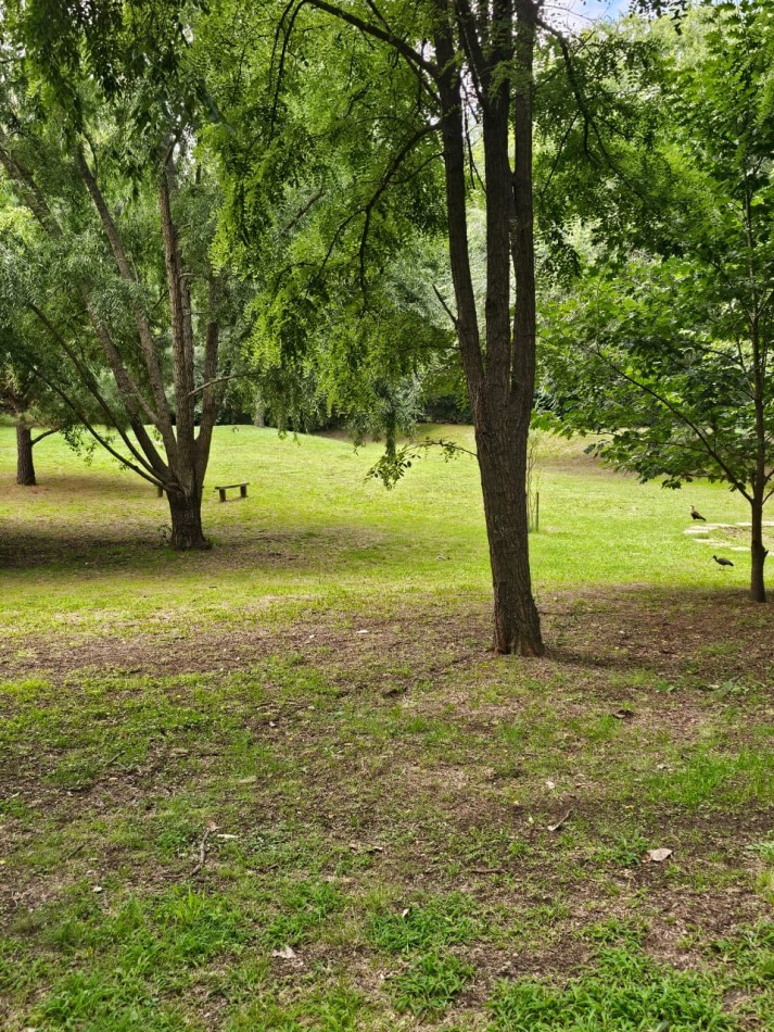 Lote Venta 1.000 m² Los Reartes A 50 metros del Rio Ubicacion Privilegiada Parques autoctonos y forestados Apto Construccion Familiar O Comercial Luz Agua Escritura