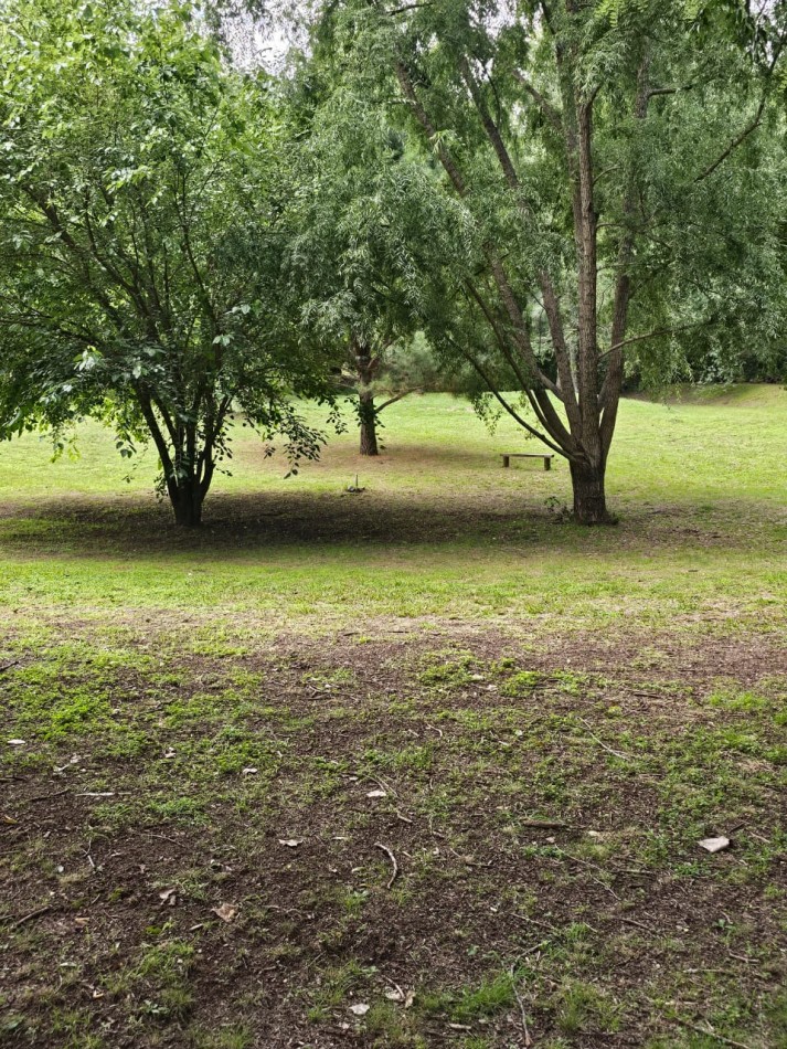 Lote Venta 1.000 m² Los Reartes A 50 metros del Rio Ubicacion Privilegiada Parques autoctonos y forestados Apto Construccion Familiar O Comercial Luz Agua Escritura