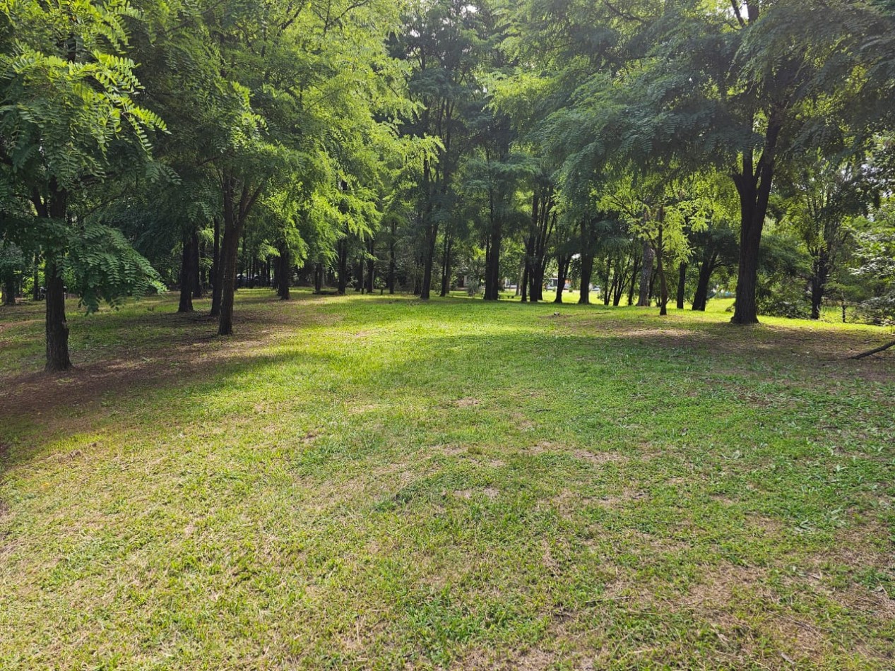 Lote Venta 1.000 m² Los Reartes A 50 metros del Rio Ubicacion Privilegiada Parques autoctonos y forestados Apto Construccion Familiar O Comercial Luz Agua Escritura