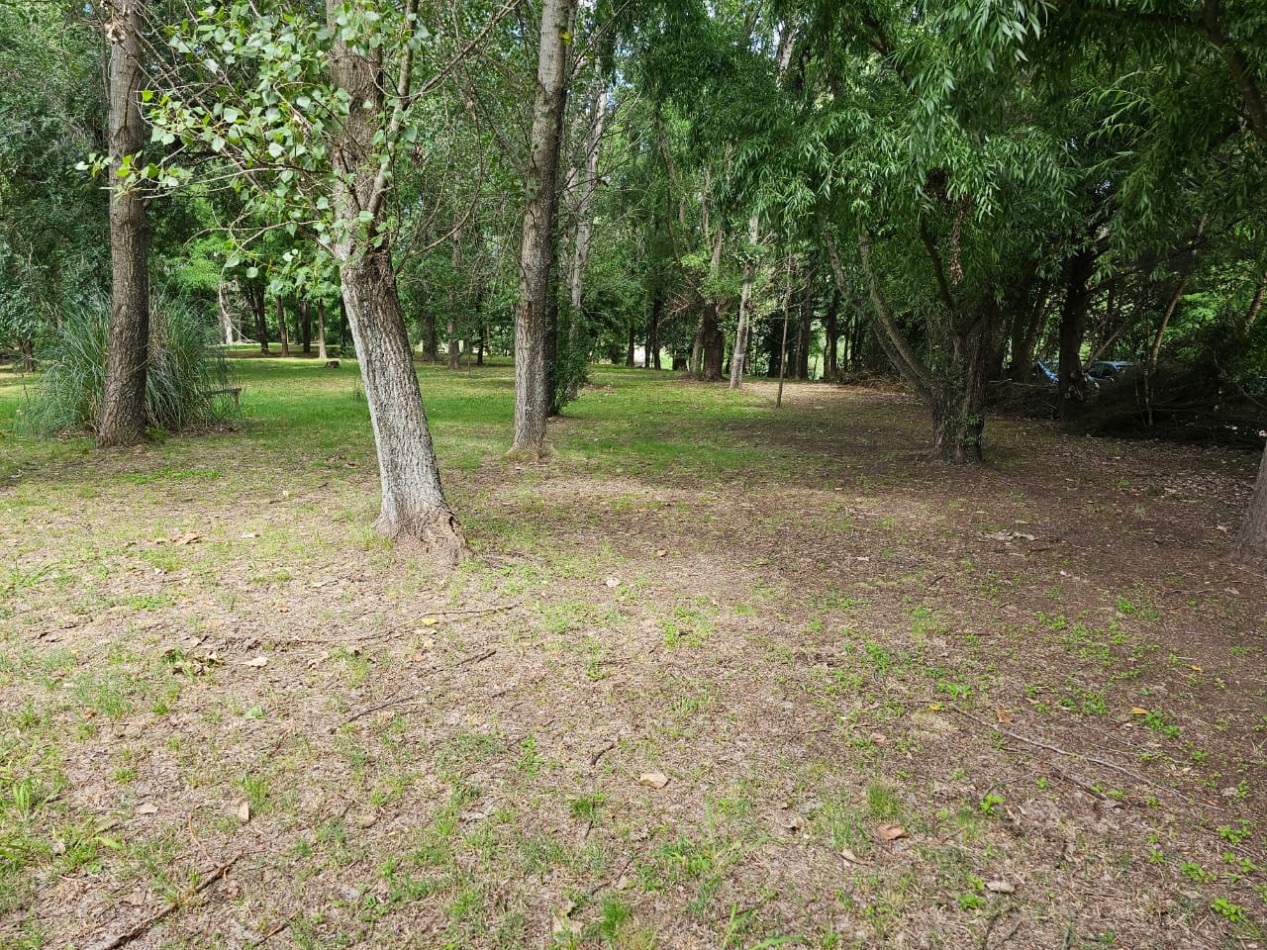 Lote Venta 1.000 m² Los Reartes A 50 metros del Rio Ubicacion Privilegiada Parques autoctonos y forestados Apto Construccion Familiar O Comercial Luz Agua Escritura