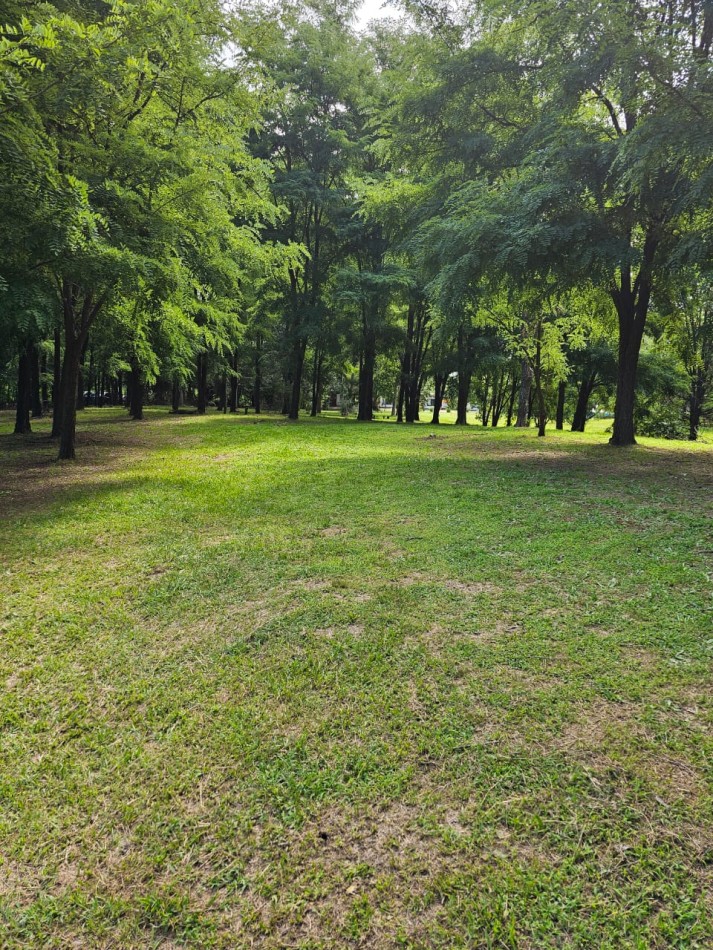Lote Venta 1.000 m² Los Reartes A 50 metros del Rio Ubicacion Privilegiada Parques autoctonos y forestados Apto Construccion Familiar O Comercial Luz Agua Escritura