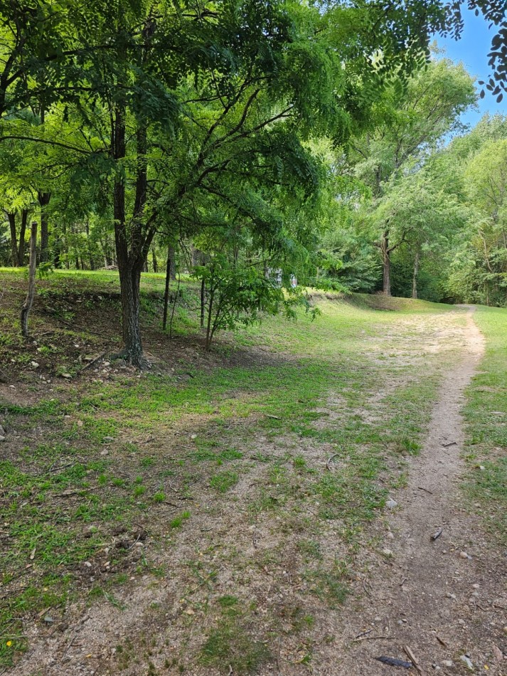Lote Venta 1.000 m² Los Reartes A 50 metros del Rio Ubicacion Privilegiada Parques autoctonos y forestados Apto Construccion Familiar O Comercial Luz Agua Escritura
