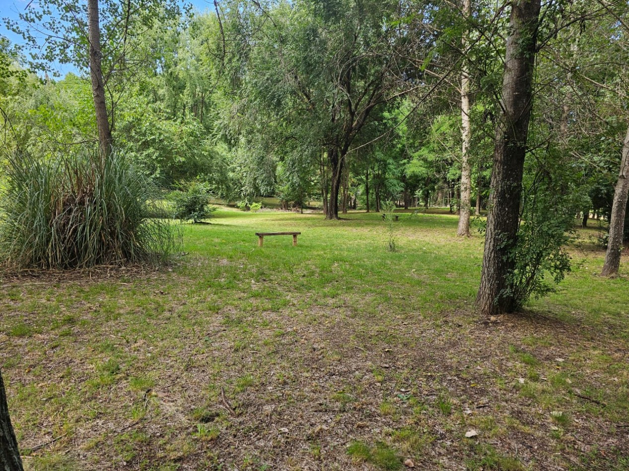 Lote Venta 1.000 m² Los Reartes A 50 metros del Rio Ubicacion Privilegiada Parques autoctonos y forestados Apto Construccion Familiar O Comercial Luz Agua Escritura