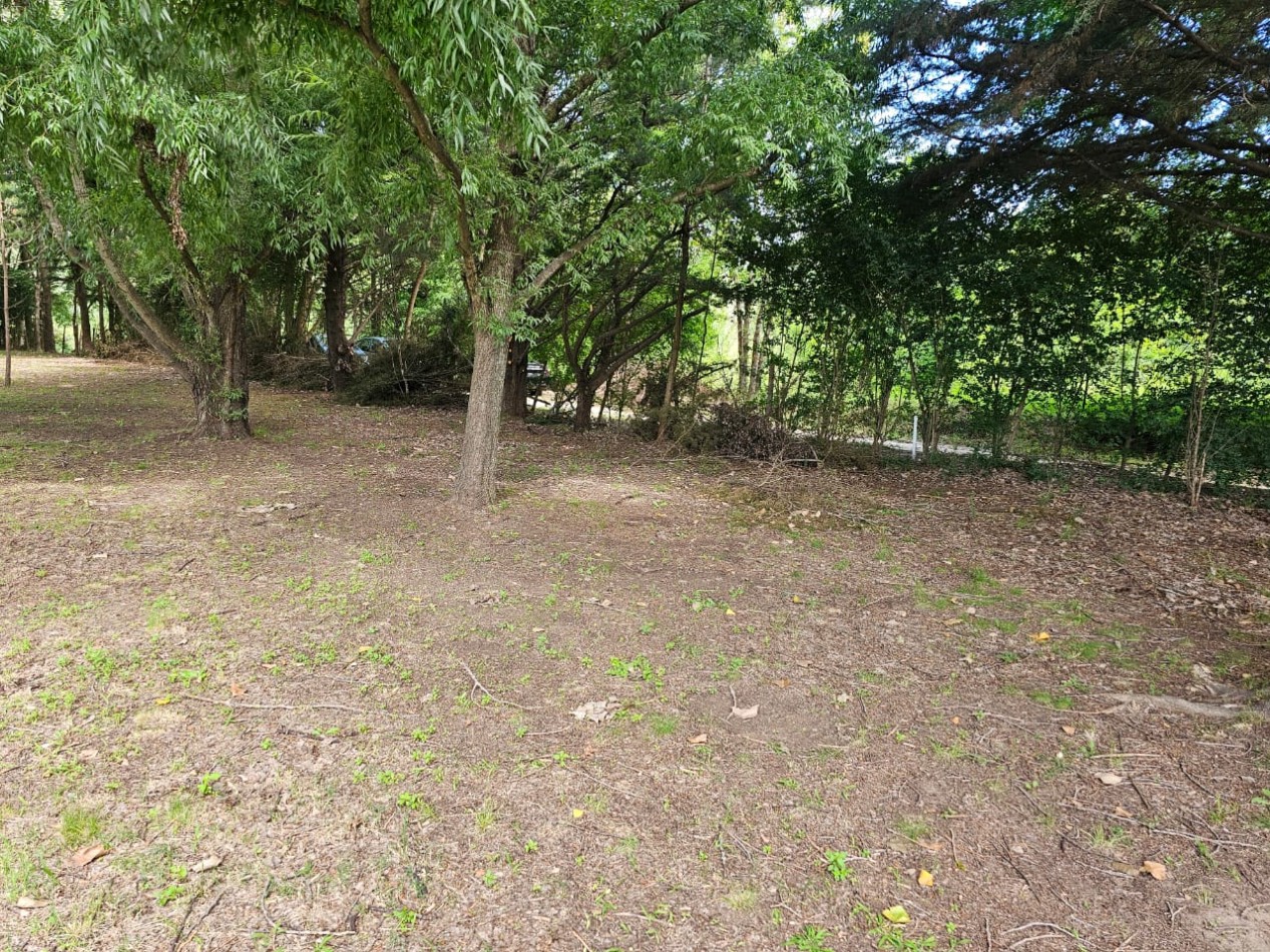 Lote Venta 1.000 m² Los Reartes A 50 metros del Rio Ubicacion Privilegiada Parques autoctonos y forestados Apto Construccion Familiar O Comercial Luz Agua Escritura