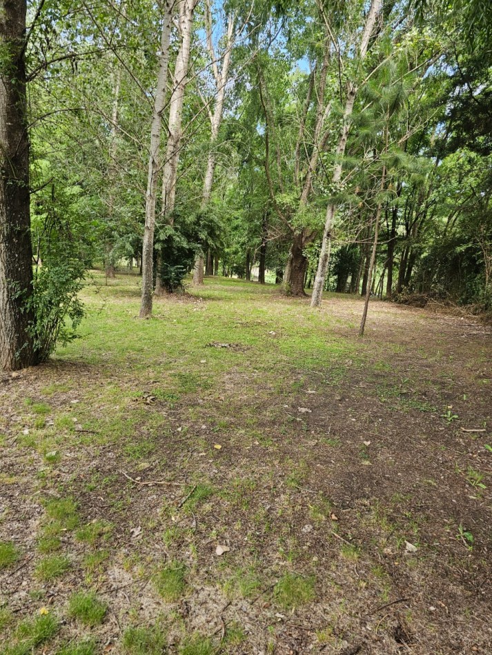 Lote Venta 1.000 m² Los Reartes A 50 metros del Rio Ubicacion Privilegiada Parques autoctonos y forestados Apto Construccion Familiar O Comercial Luz Agua Escritura
