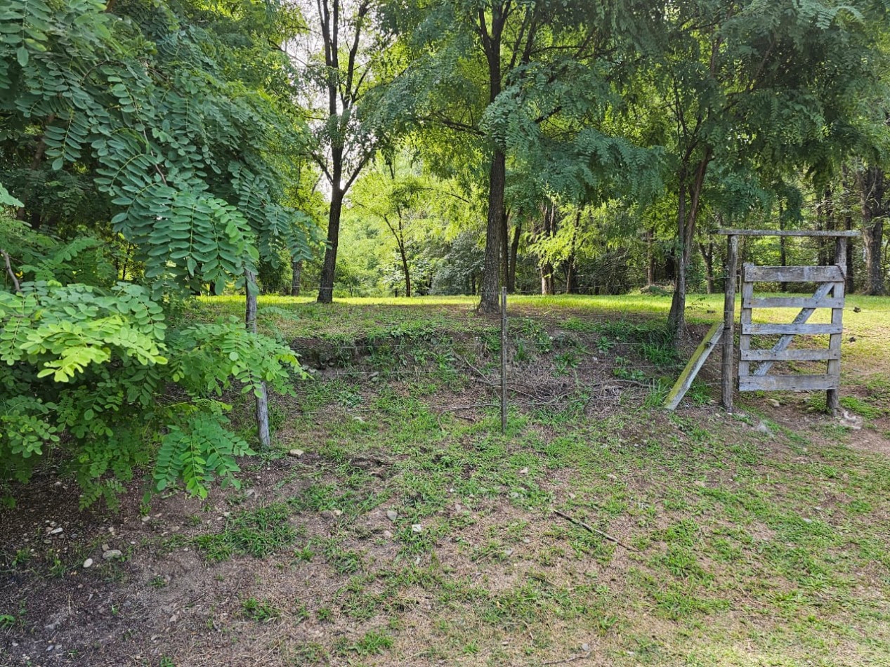 Lote Venta 1.000 m² Los Reartes A 50 metros del Rio Ubicacion Privilegiada Parques autoctonos y forestados Apto Construccion Familiar O Comercial Luz Agua Escritura