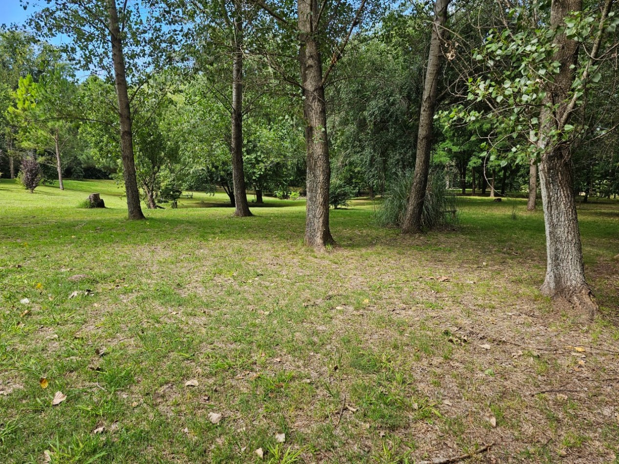 Lote Venta 1.000 m² Los Reartes A 50 metros del Rio Ubicacion Privilegiada Parques autoctonos y forestados Apto Construccion Familiar O Comercial Luz Agua Escritura