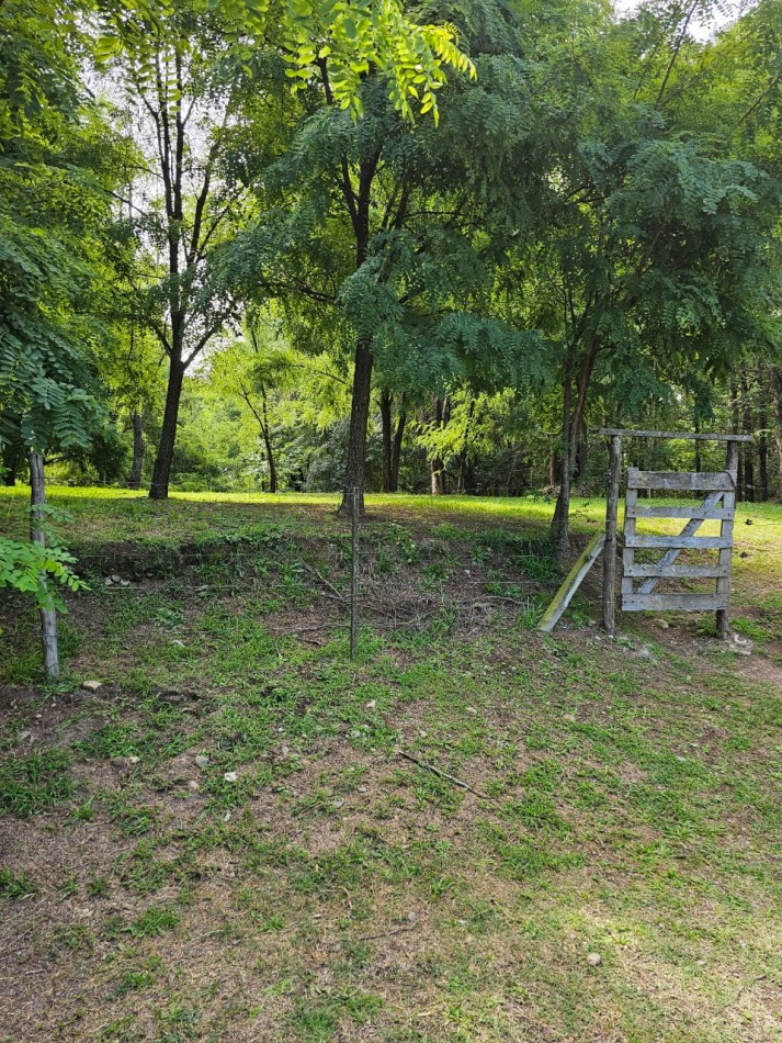 Lote Venta 1.000 m² Los Reartes A 50 metros del Rio Ubicacion Privilegiada Parques autoctonos y forestados Apto Construccion Familiar O Comercial Luz Agua Escritura