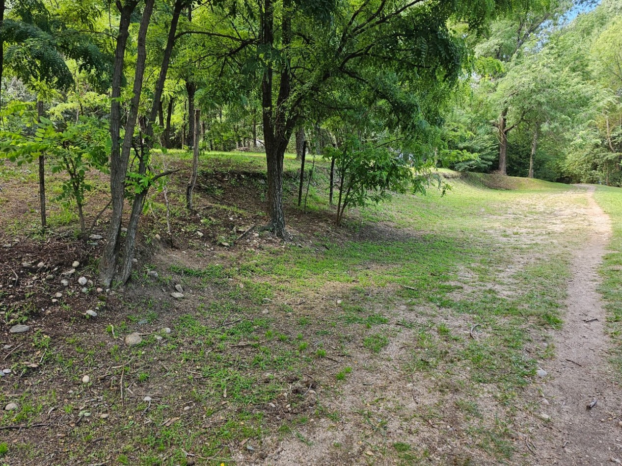 Lote Venta 1.000 m² Los Reartes A 50 metros del Rio Ubicacion Privilegiada Parques autoctonos y forestados Apto Construccion Familiar O Comercial Luz Agua Escritura