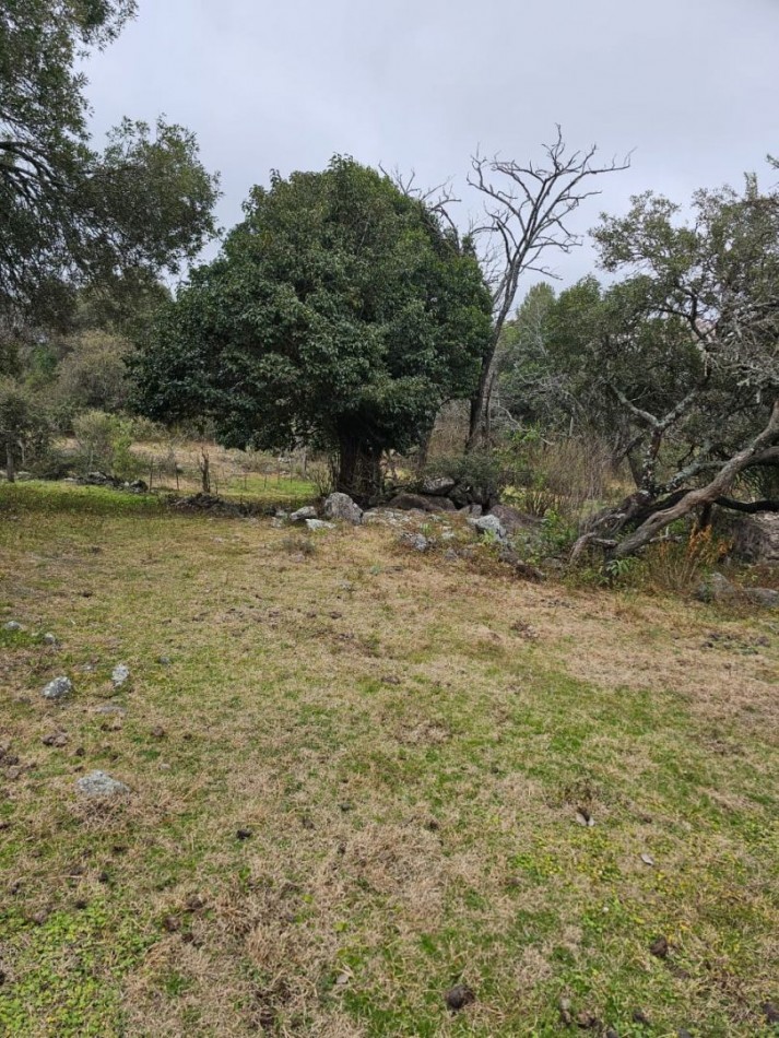 Lote venta El Parador de la Montaña 2000 m². Escritura. Luz y agua en la puerta. Vistas. Santa Rosa de Calamuchita.
