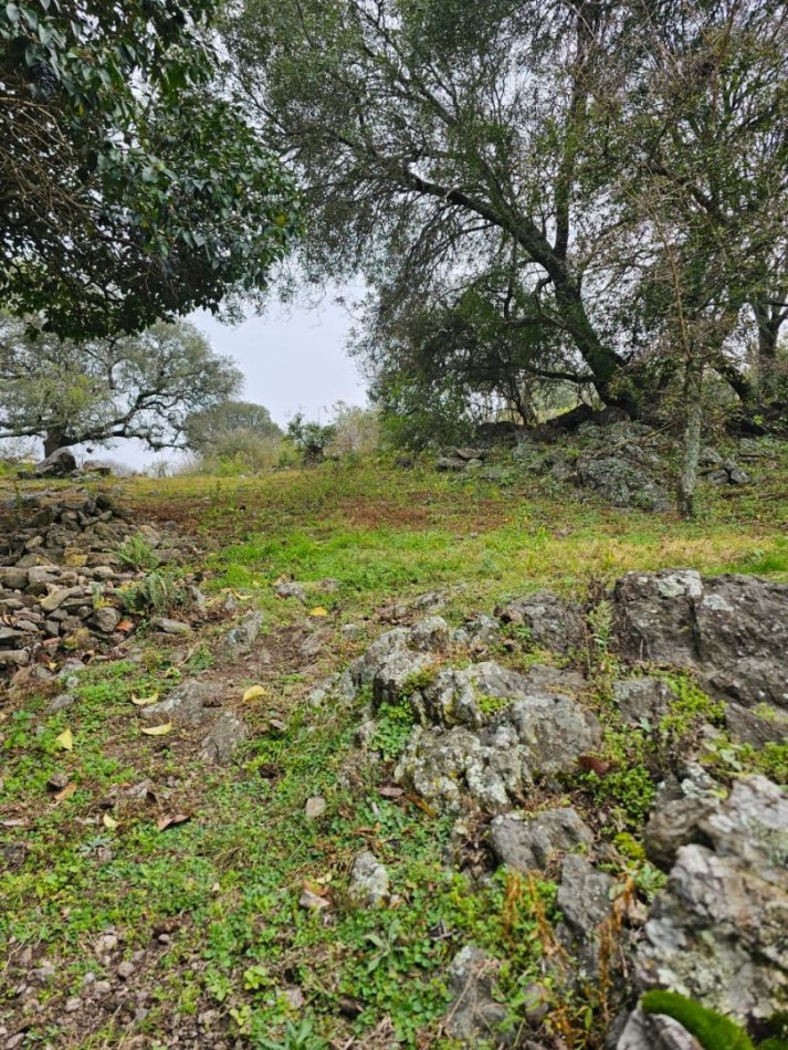 Lote venta El Parador de la Montaña 2000 m². Escritura. Luz y agua en la puerta. Vistas. Santa Rosa de Calamuchita.