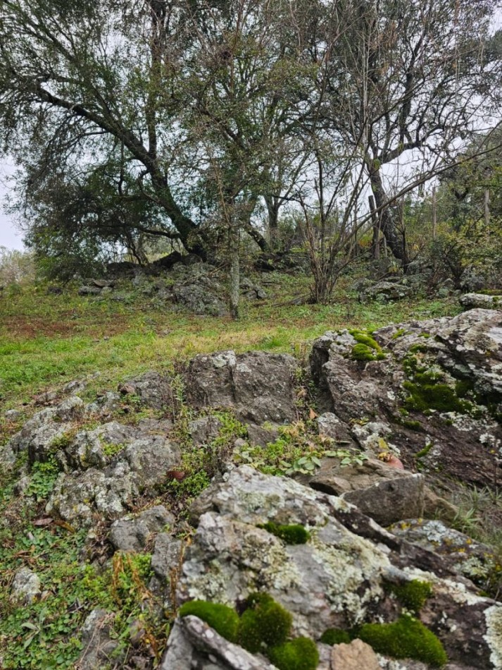 Lote venta El Parador de la Montaña 2000 m². Escritura. Luz y agua en la puerta. Vistas. Santa Rosa de Calamuchita.