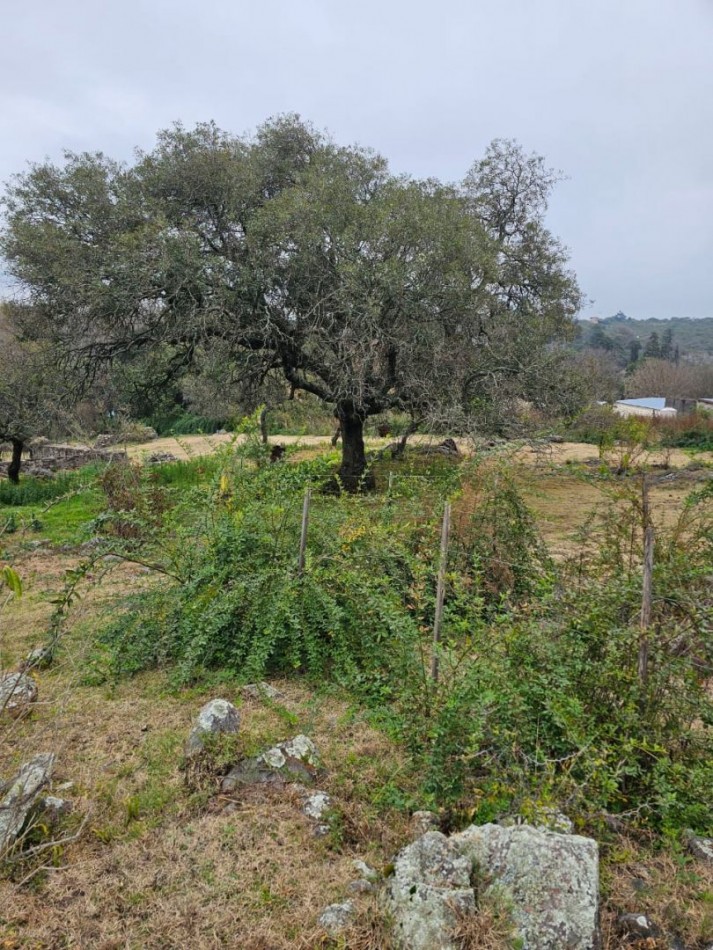 Lote venta El Parador de la Montaña 2000 m². Escritura. Luz y agua en la puerta. Vistas. Santa Rosa de Calamuchita.
