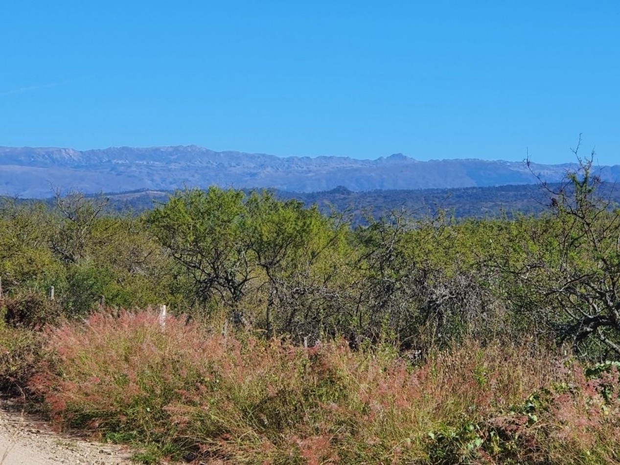 Campo en Venta Apto para desarrollo de Loteo. Oportunidad de Inversion. 