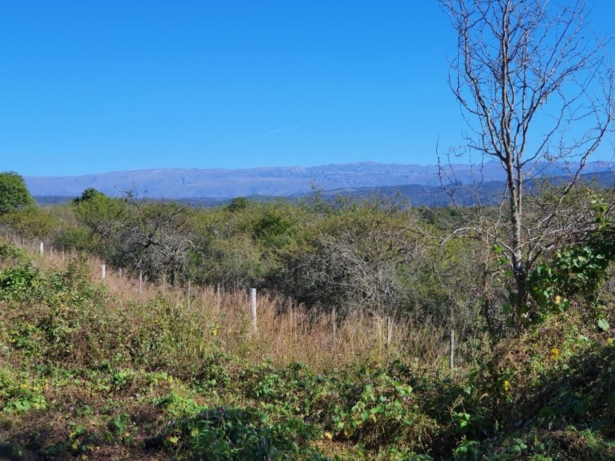 Campo en Venta Apto para desarrollo de Loteo. Oportunidad de Inversion. 