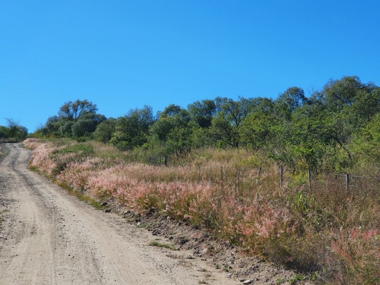 Campo en Venta Apto para desarrollo de Loteo. Oportunidad de Inversion. 