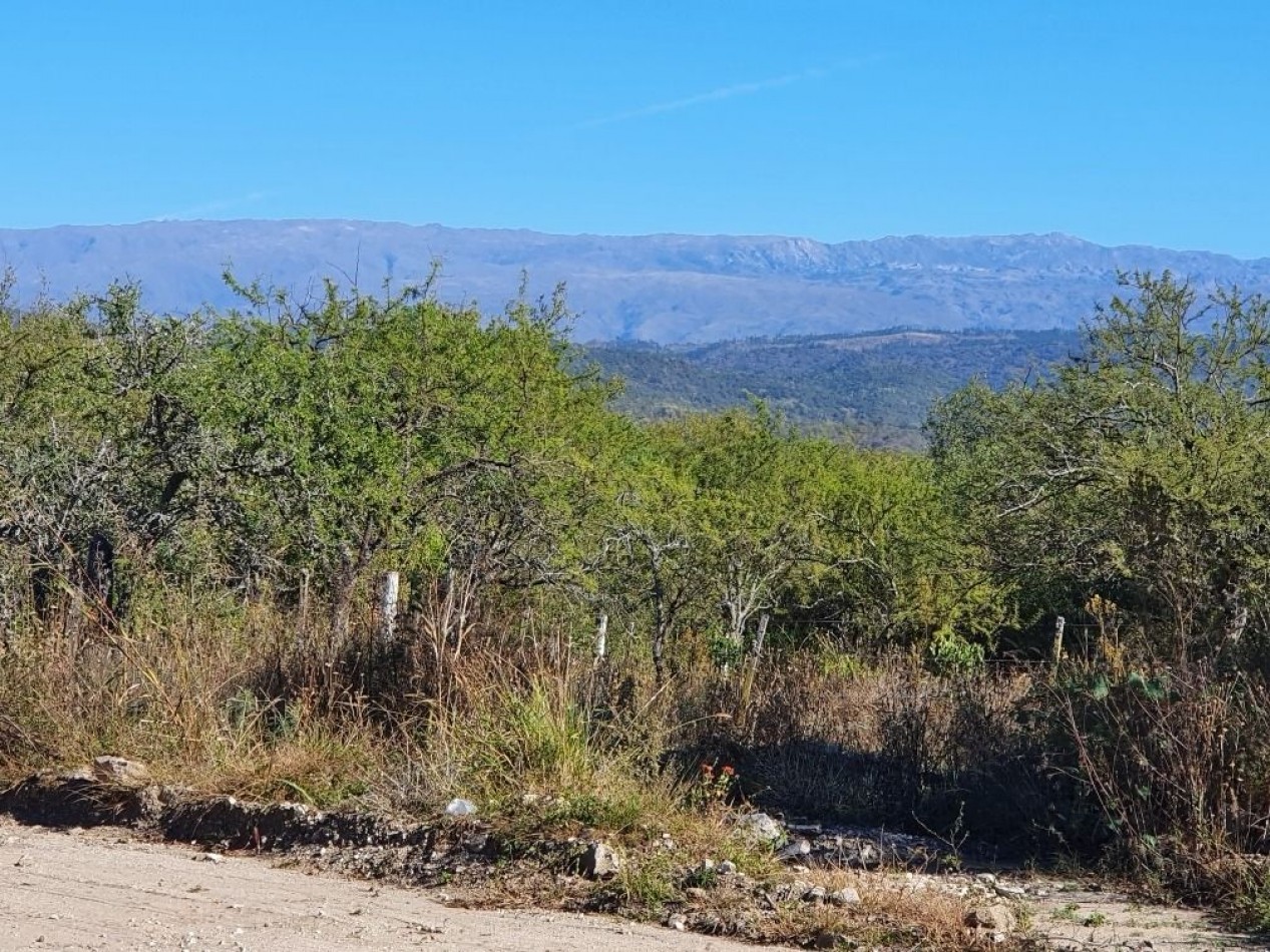 Campo en Venta Apto para desarrollo de Loteo. Oportunidad de Inversion. 