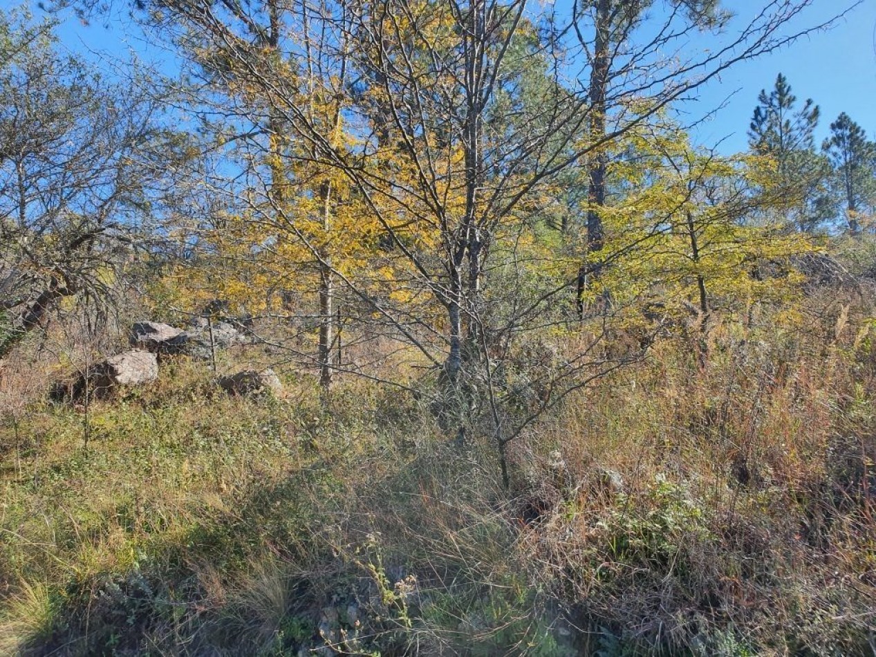 Campo en Venta Apto para desarrollo de Loteo. Oportunidad de Inversion. 