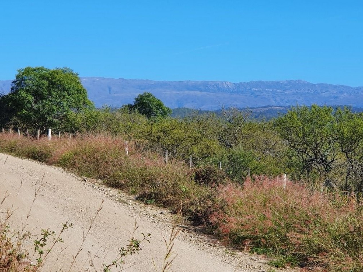 Campo en Venta Apto para desarrollo de Loteo. Oportunidad de Inversion. 