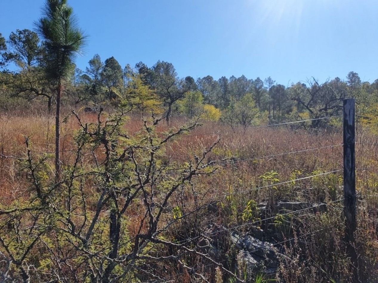 Campo en Venta Apto para desarrollo de Loteo. Oportunidad de Inversion. 