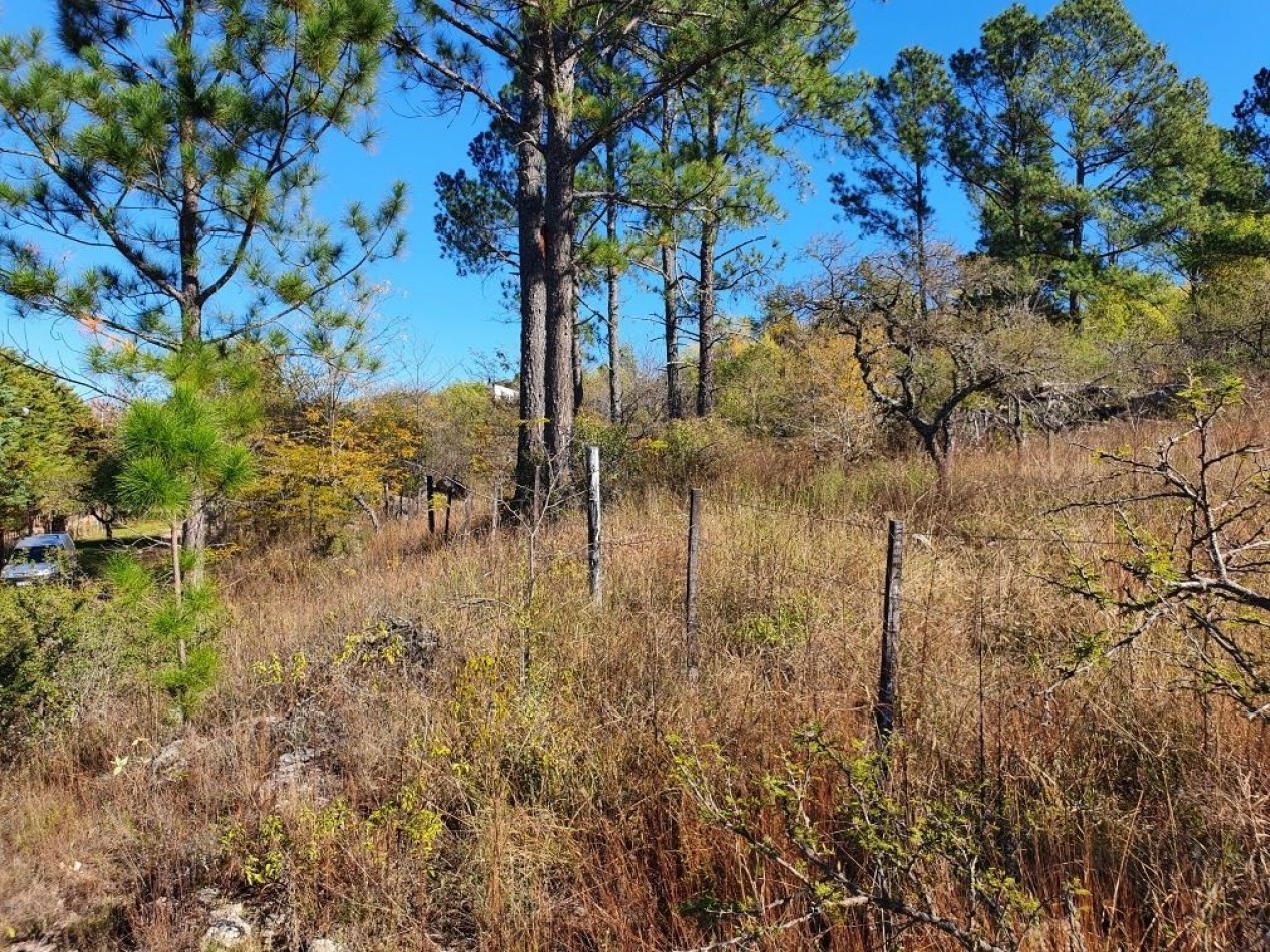 Campo en Venta Apto para desarrollo de Loteo. Oportunidad de Inversion. 