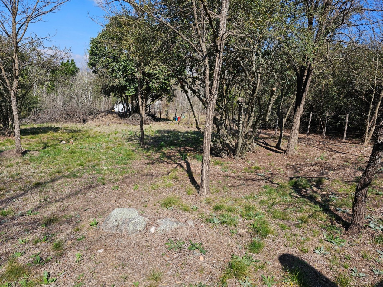 2 Lotes Venta Los Reartes B° Capilla Vieja A 100 Metros Del Rio Luz Agua Escritura Lugar Exclusivo Vistas Sierras Grandes