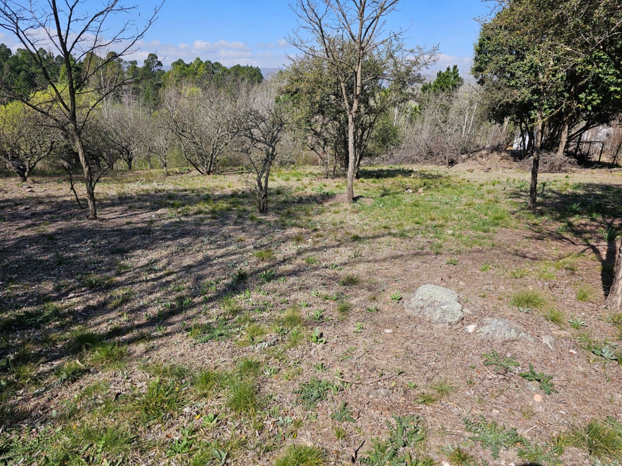 2 Lotes Venta Los Reartes B° Capilla Vieja A 100 Metros Del Rio Luz Agua Escritura Lugar Exclusivo Vistas Sierras Grandes