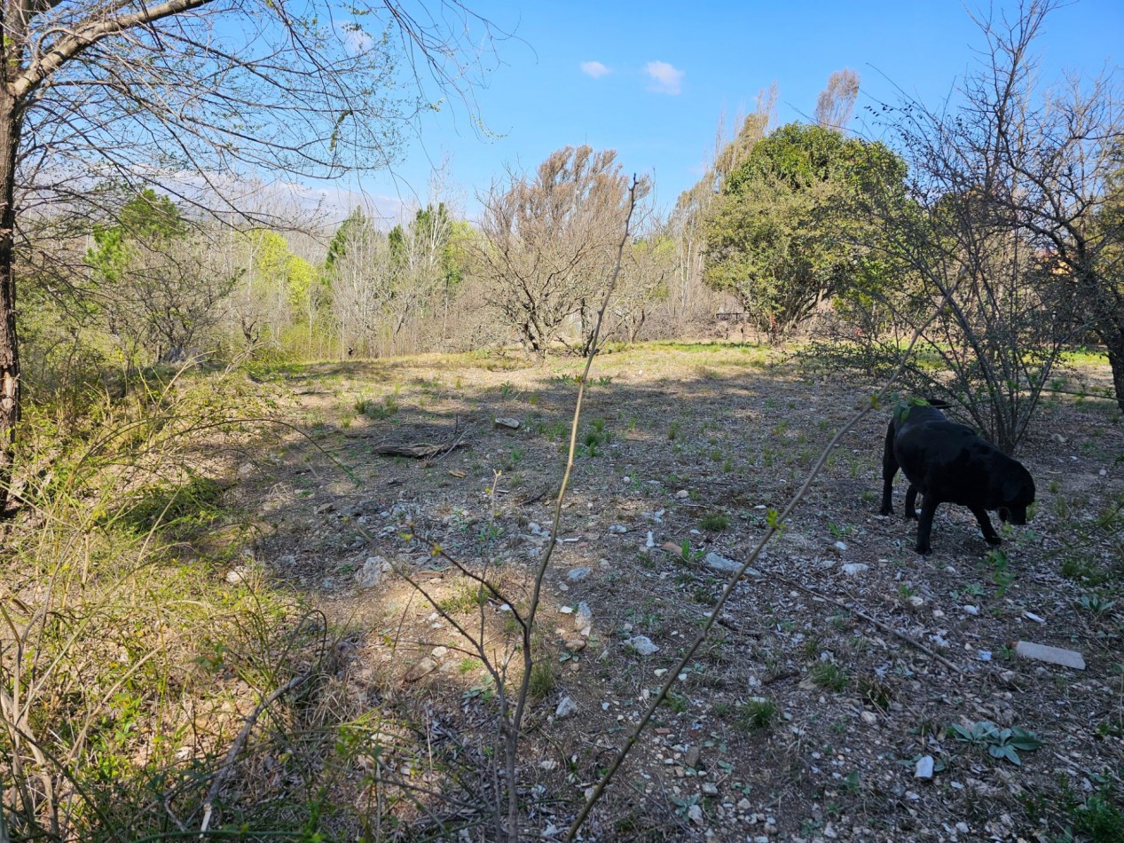 2 Lotes Venta Los Reartes B° Capilla Vieja A 100 Metros Del Rio Luz Agua Escritura Lugar Exclusivo Vistas Sierras Grandes