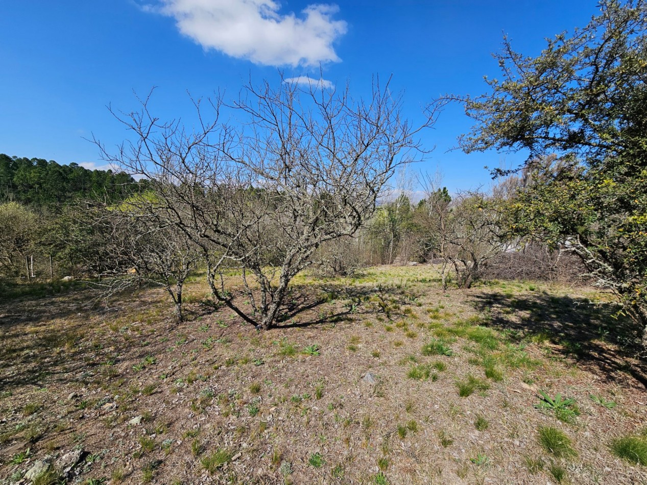 2 Lotes Venta Los Reartes B° Capilla Vieja A 100 Metros Del Rio Luz Agua Escritura Lugar Exclusivo Vistas Sierras Grandes