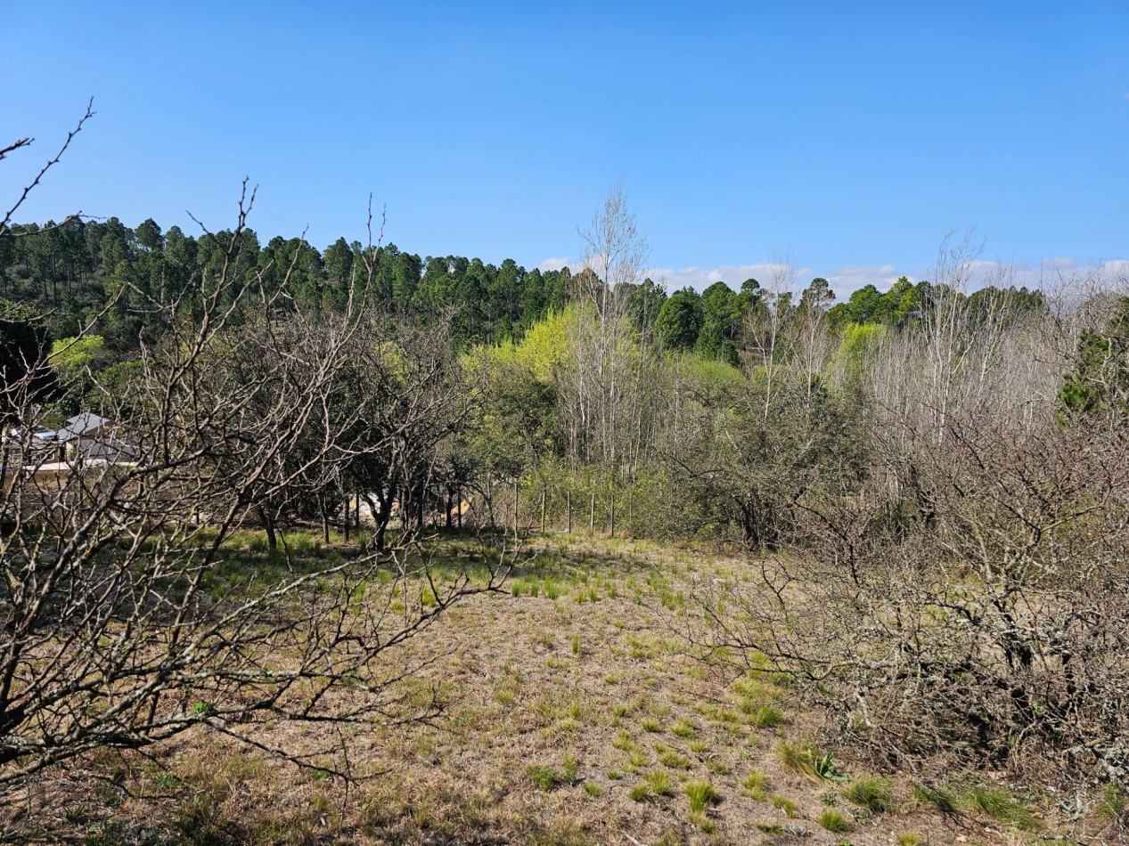 2 Lotes Venta Los Reartes B° Capilla Vieja A 100 Metros Del Rio Luz Agua Escritura Lugar Exclusivo Vistas Sierras Grandes