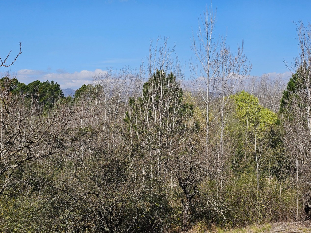 2 Lotes Venta Los Reartes B° Capilla Vieja A 100 Metros Del Rio Luz Agua Escritura Lugar Exclusivo Vistas Sierras Grandes