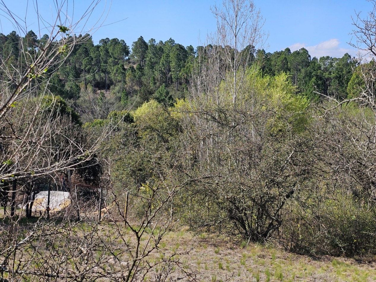 2 Lotes Venta Los Reartes B° Capilla Vieja A 100 Metros Del Rio Luz Agua Escritura Lugar Exclusivo Vistas Sierras Grandes
