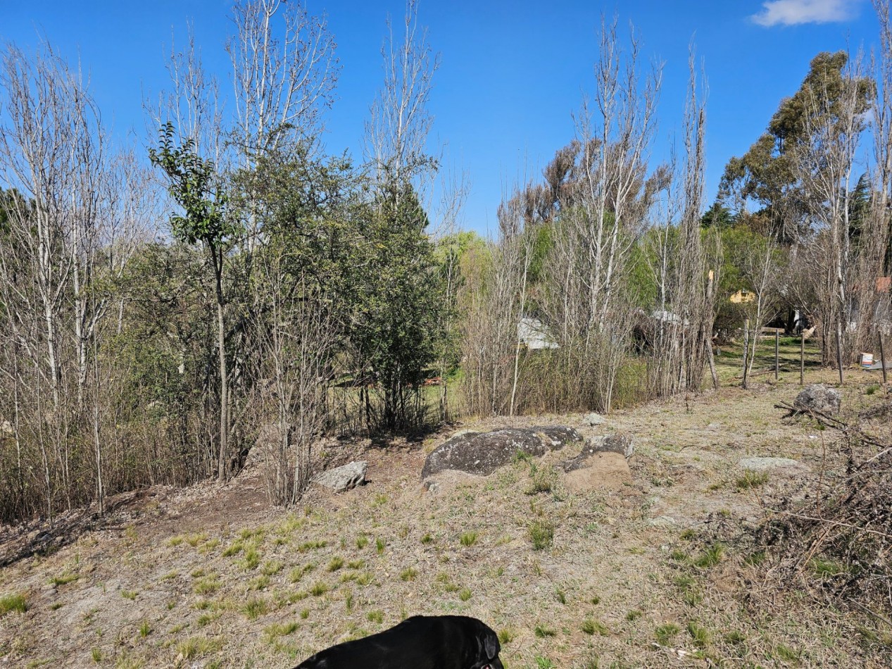 2 Lotes Venta Los Reartes B° Capilla Vieja A 100 Metros Del Rio Luz Agua Escritura Lugar Exclusivo Vistas Sierras Grandes