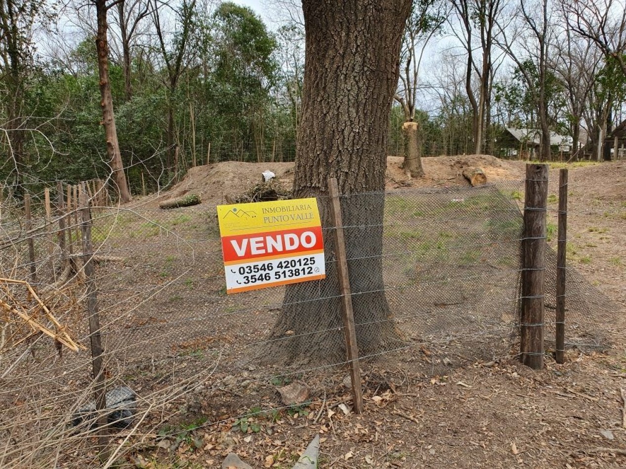 Lote Venta Santa Rosa De Calamuchita Excelente Ubicacion 100 Mts Rio Santa Rosa